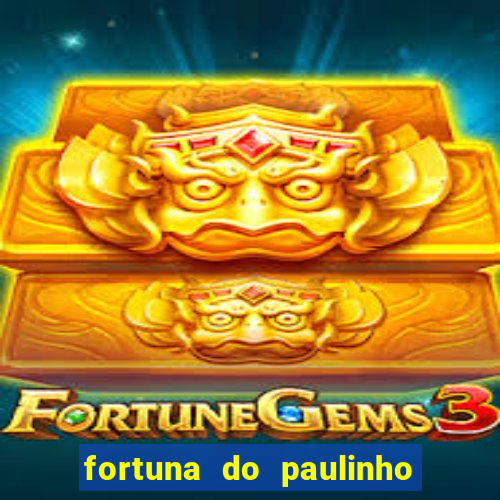 fortuna do paulinho do roupa nova